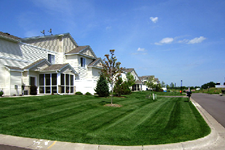 Lawn_care