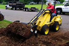 Stump_Removal