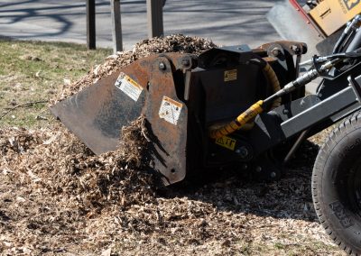 Breiwick Companies Twin Cities Stump Removal